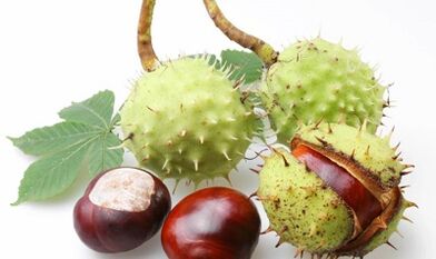 arklio kaštonas iš apatinių galūnių varikozinių venų